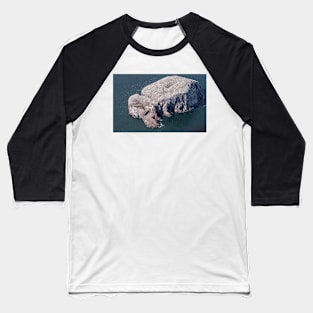 Bass Rock #2 Baseball T-Shirt